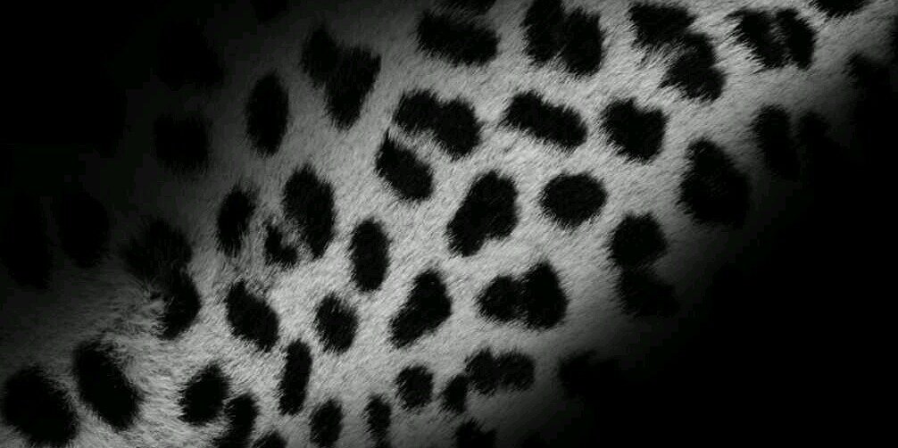 ___Killa's profile banner image