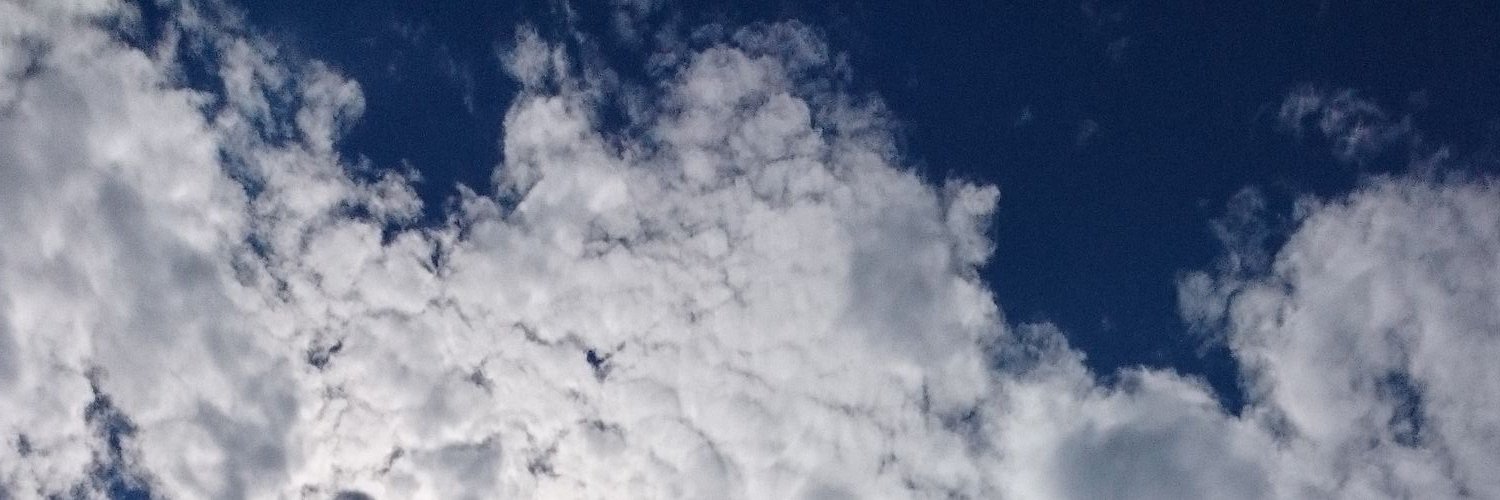 nipnip45's profile banner image