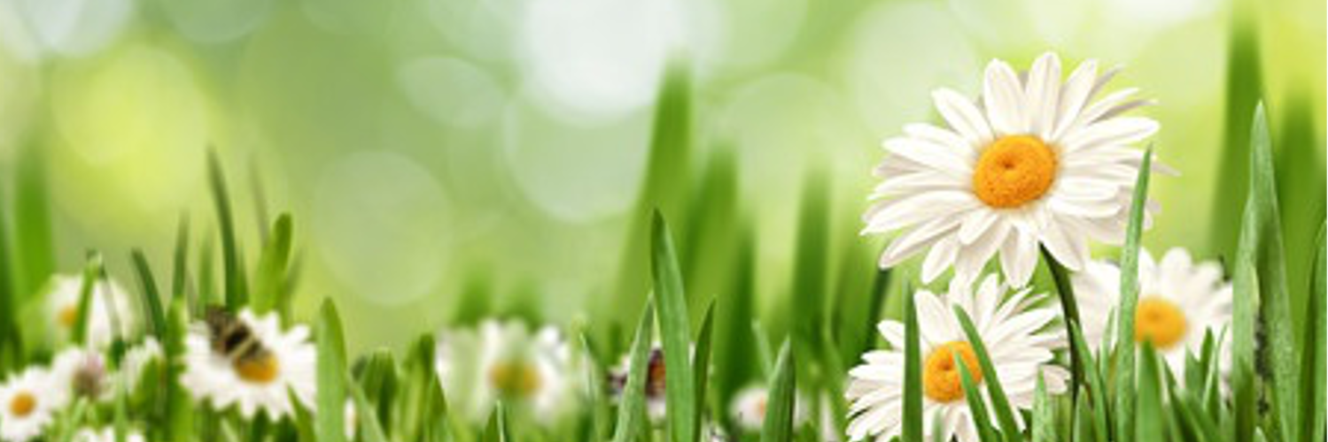 kind_au's profile banner image