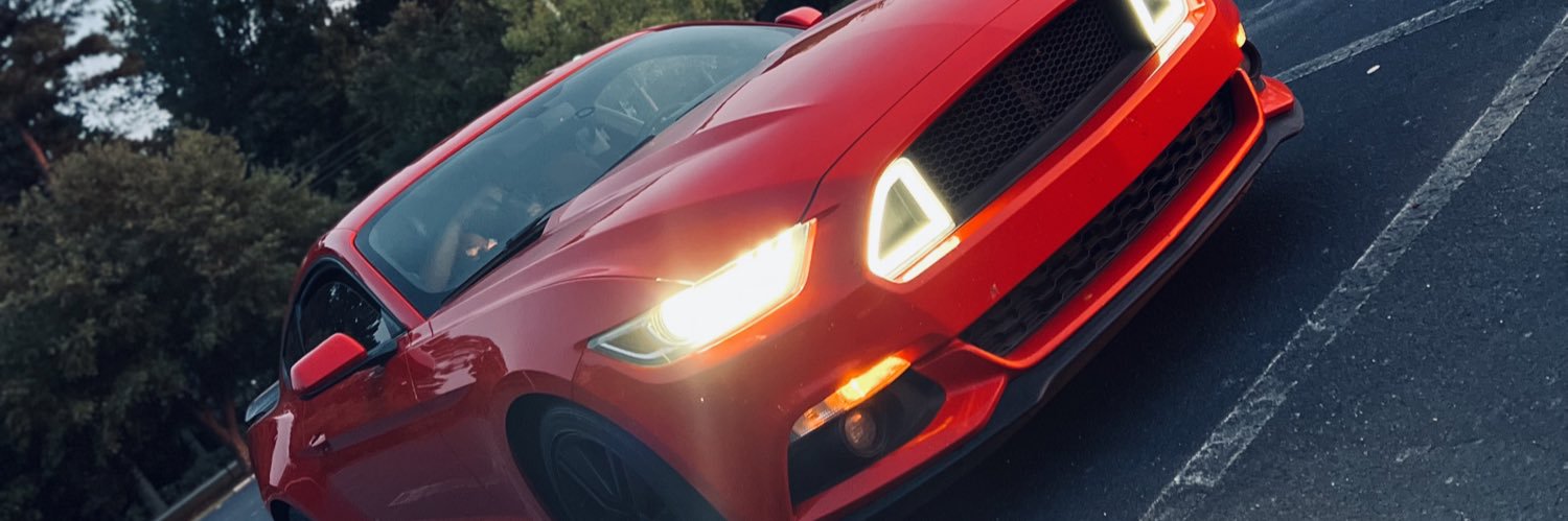 200babii_🖤🦍 banner