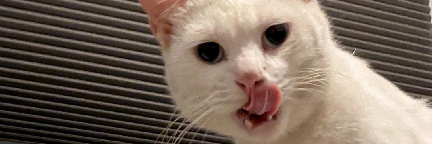 Obettttttt's profile banner image