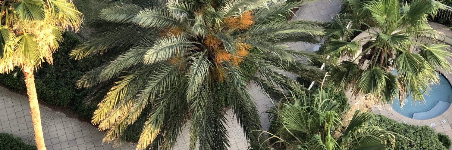 tinagrantham34's profile banner image