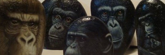 yioamigo's profile banner image