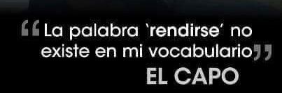 lucho banner