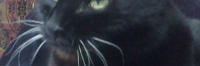 c v banner