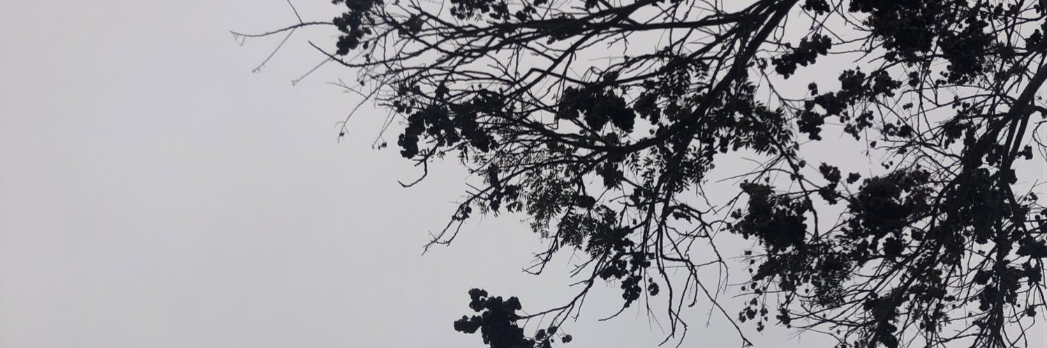 BMatta1's profile banner image