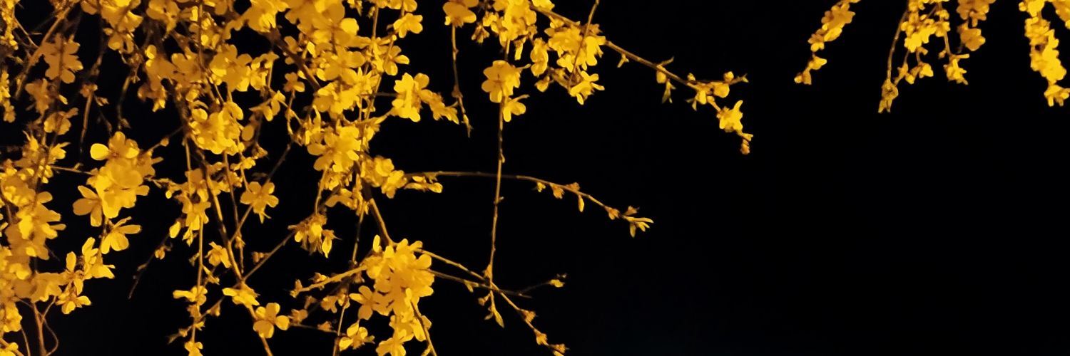 DevrimK_12's profile banner image