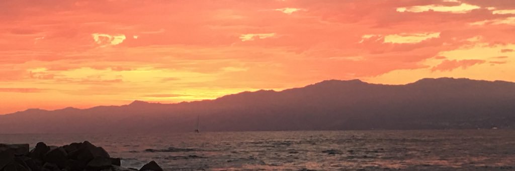 OhhDatTray's profile banner image