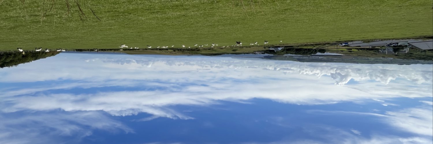 lauravalmorbida's profile banner image