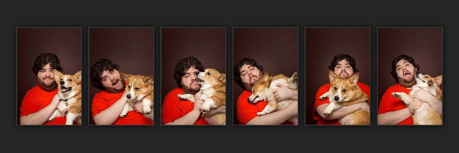 thefrogfeed's profile banner image