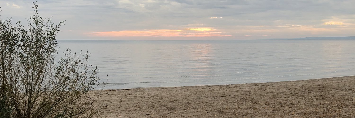 mrivs11's profile banner image