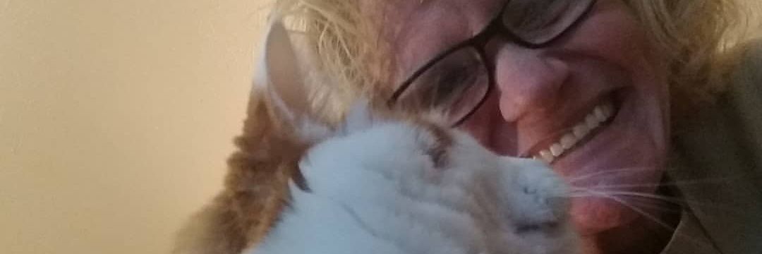 MissPattyA's profile banner image