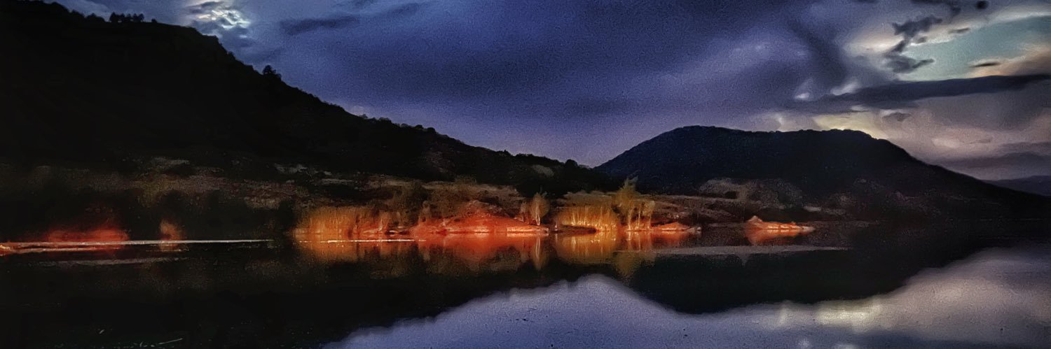 Emmanuel Pampuri banner