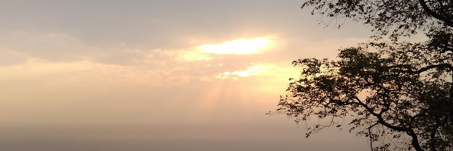 SinghIcapf's profile banner image