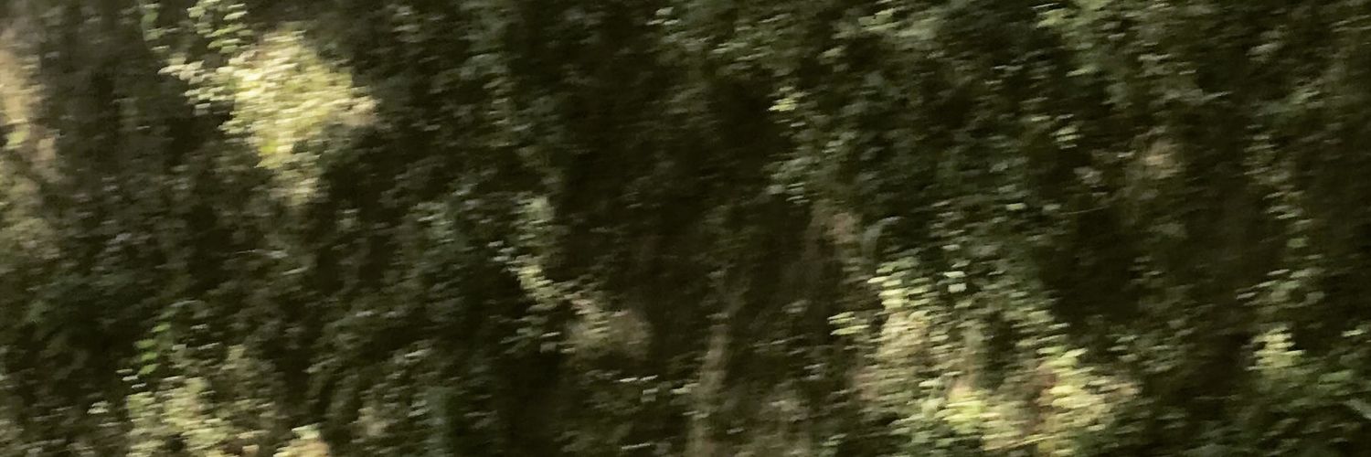 jaditerusssss's profile banner image