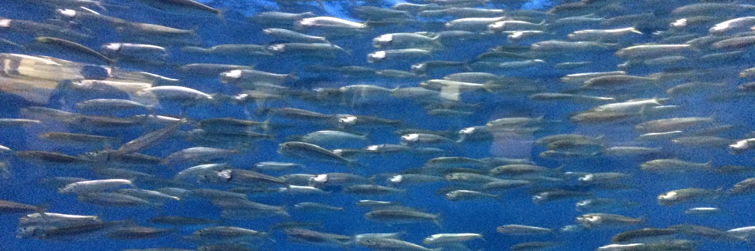 Sage Lichtenwalner banner