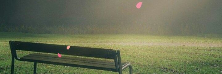 chaogeorge's profile banner image