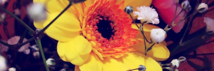 ❤︎❤︎❤︎ banner
