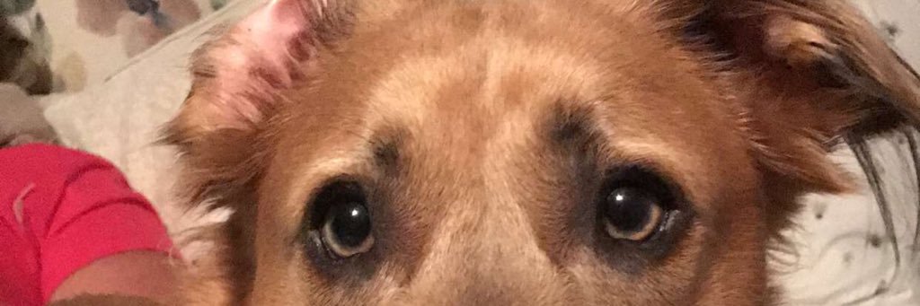 StevensKassidy's profile banner image