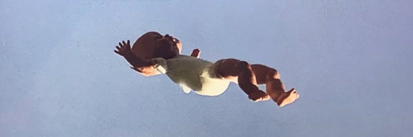 claireib4's profile banner image