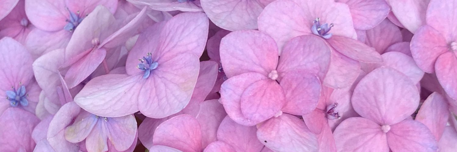 stephjoyner_'s profile banner image