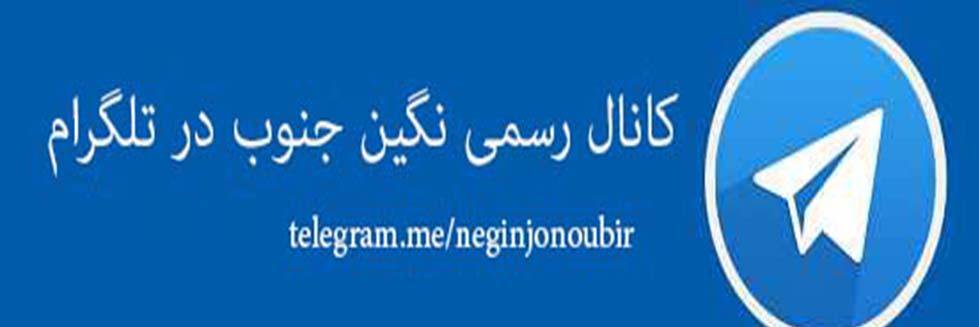 neginjonoubir's profile banner image