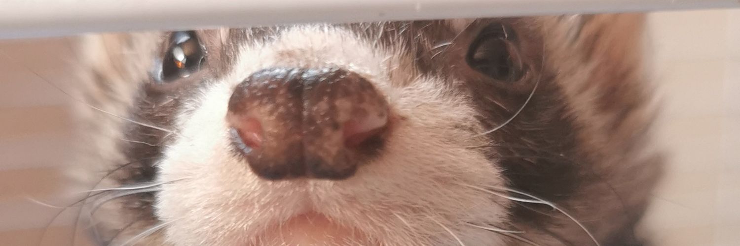 MarcoAldrt's profile banner image
