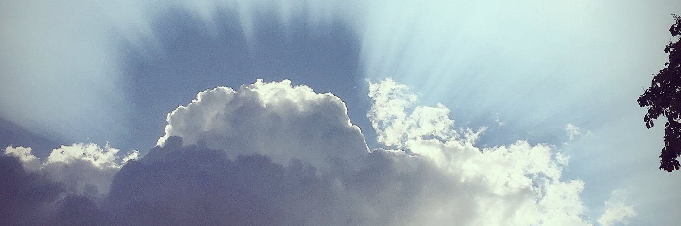 Missybeehayer's profile banner image