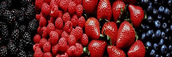 JONATHANWAXMAN Profile Banner