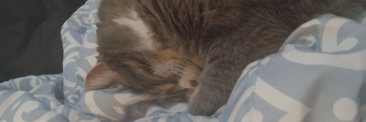 faerybliss's profile banner image