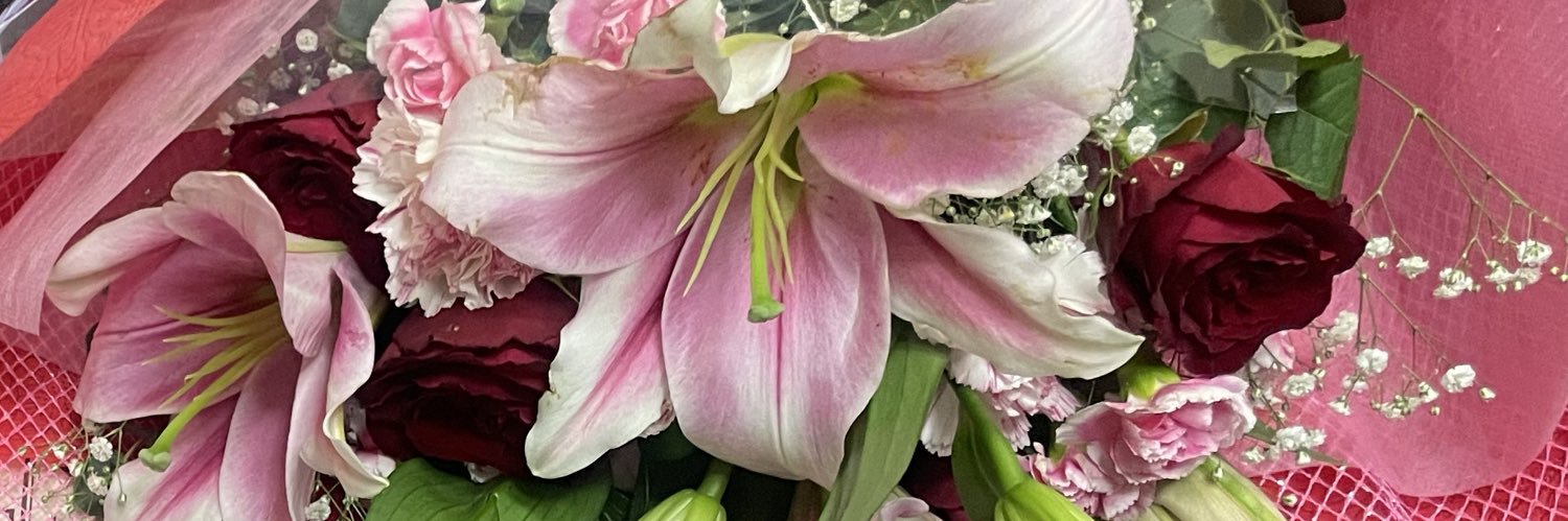 城山 彩涼/ｼﾞｮｳﾔﾏ ｻｸﾗ banner