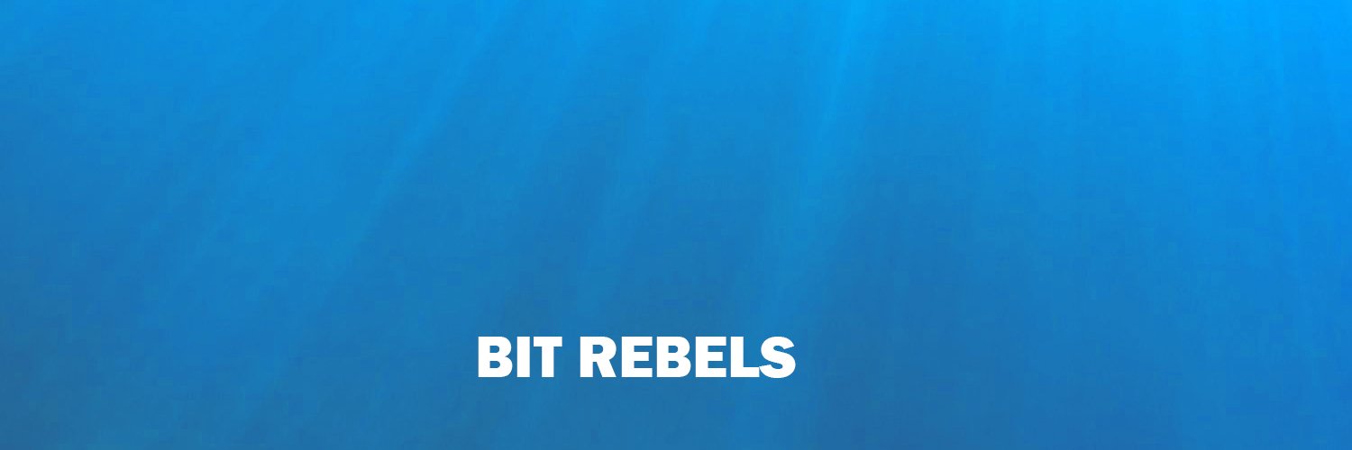 Bit Rebels banner