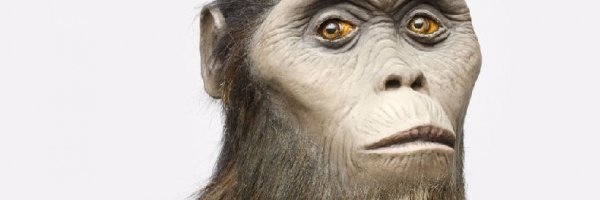 BEDeDominicis's profile banner image