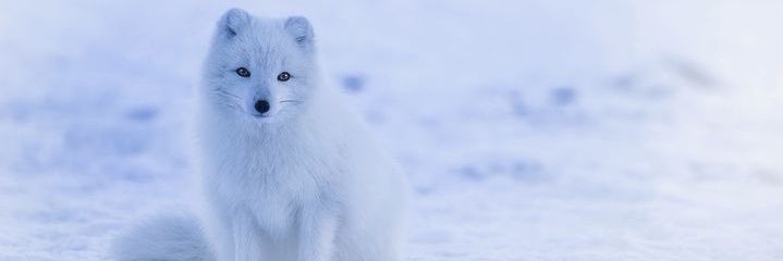 Puttisuk7's profile banner image