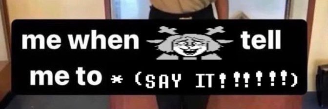 stewmfie banner