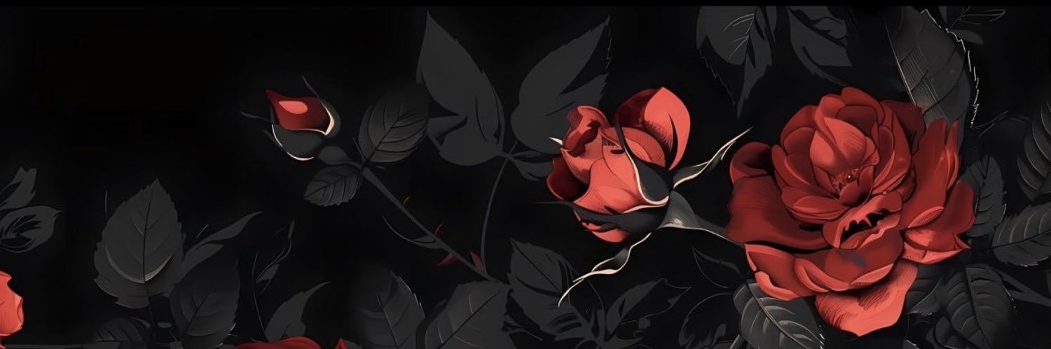 segseaaa's profile banner image