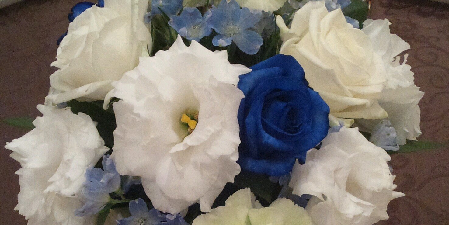 3Toray's profile banner image