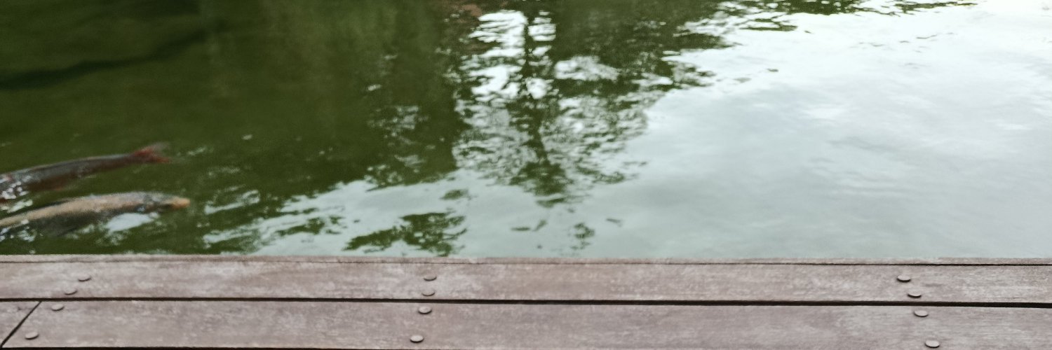 euShadock's profile banner image