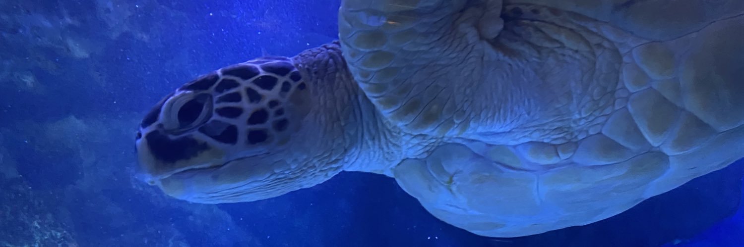 kapipara3000's profile banner image