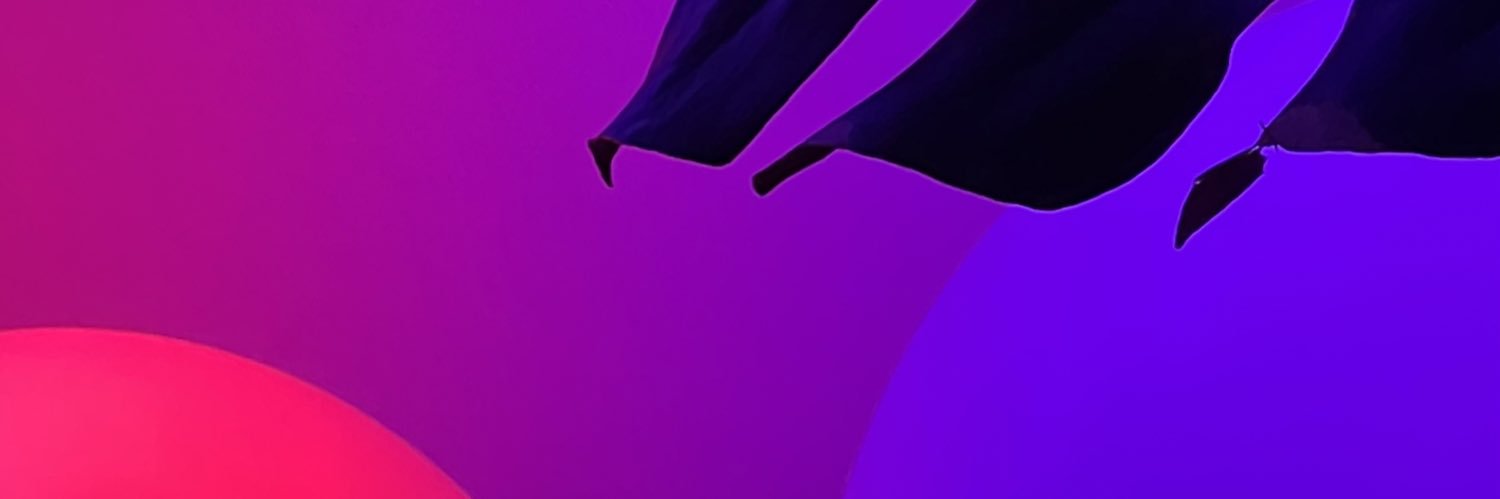 oyeCaro's profile banner image