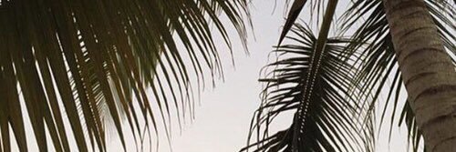 browgoaIs's profile banner image
