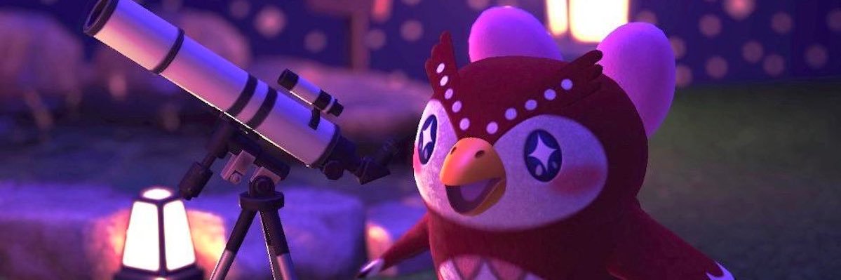 EverlandQueen's profile banner image