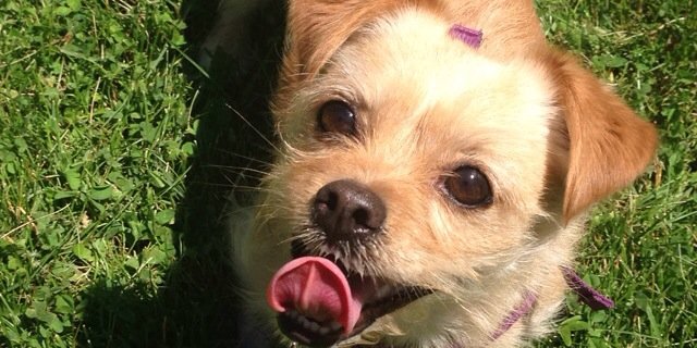 ErinR_12's profile banner image