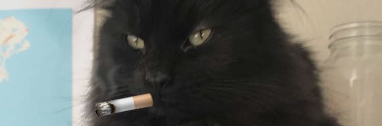 Sir_burger's profile banner image