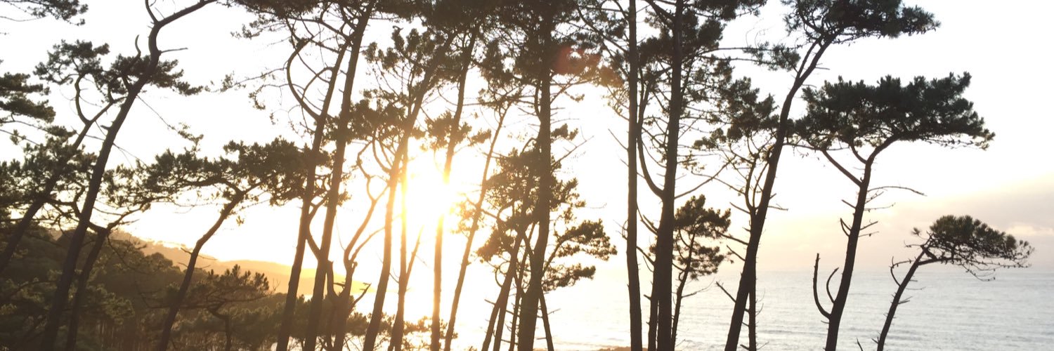 kuriv's profile banner image