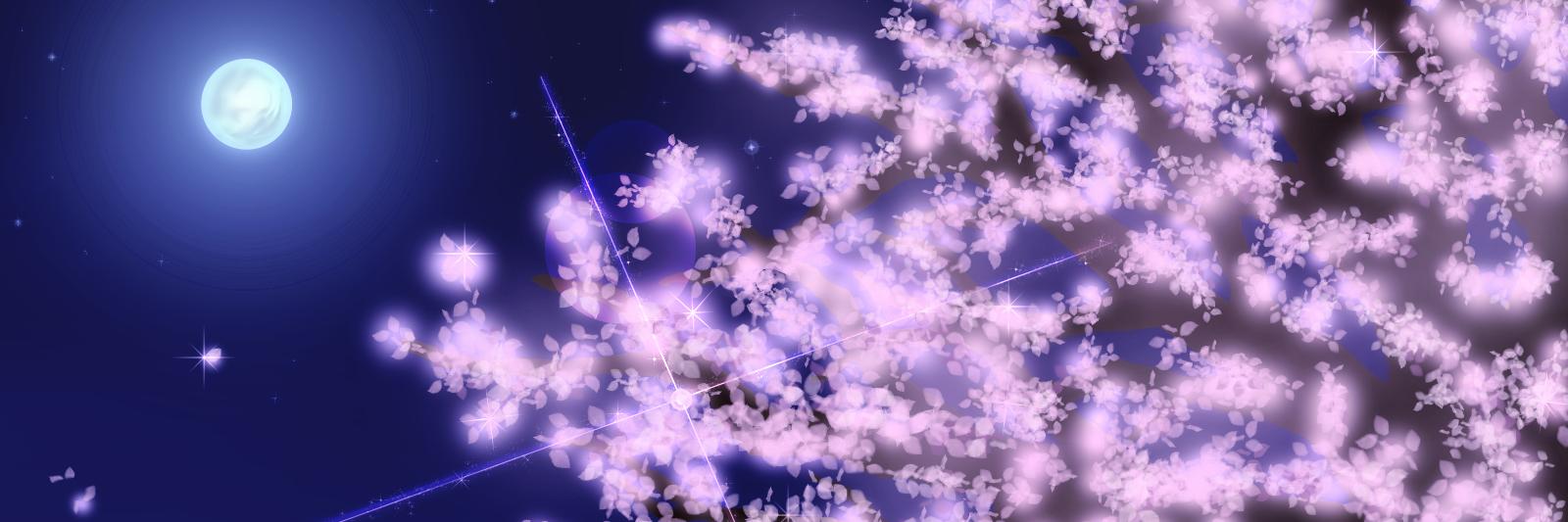 充希🌻🌈永遠桜🌸 banner