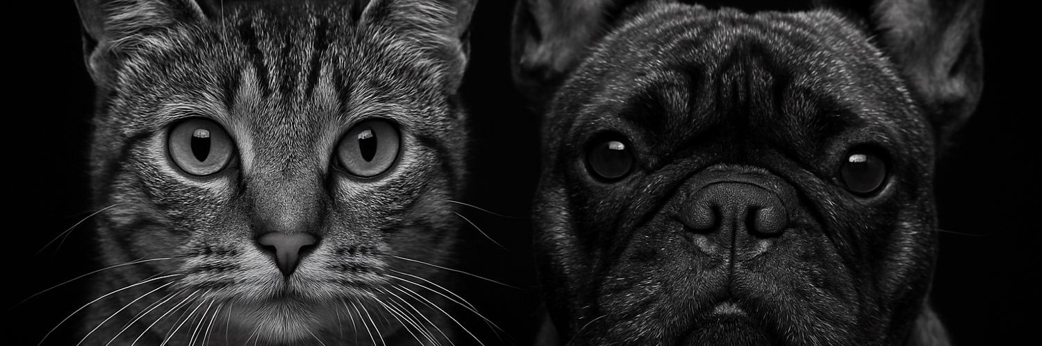 LDelaleau's profile banner image