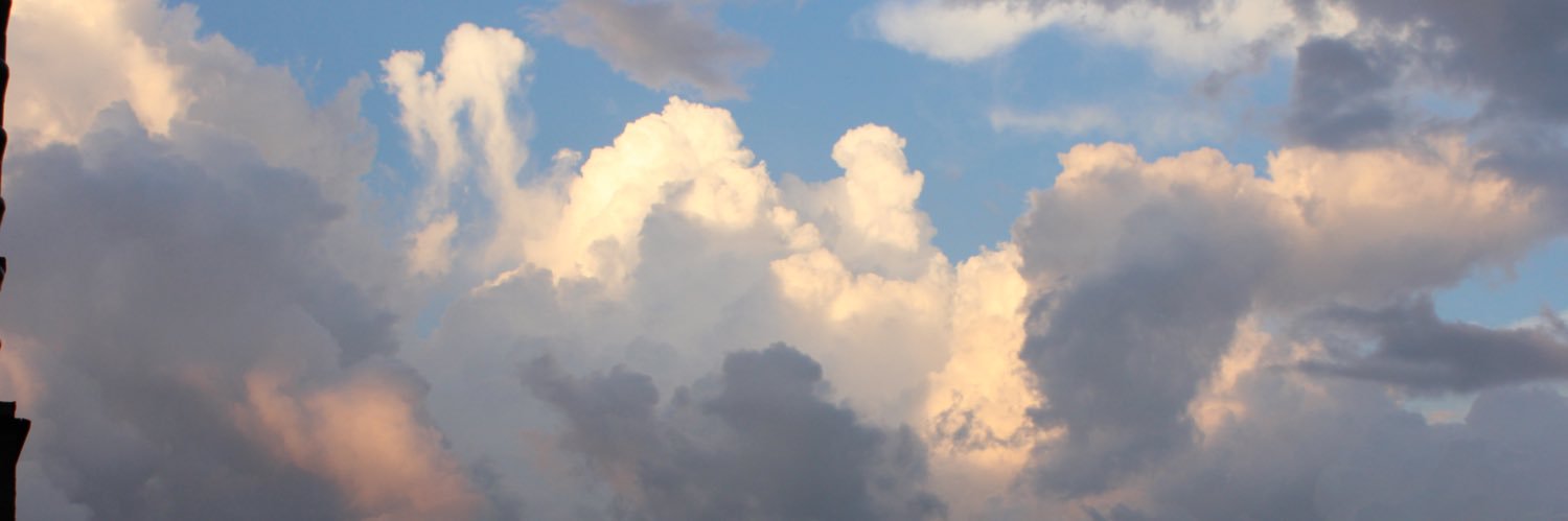 rickiiann's profile banner image
