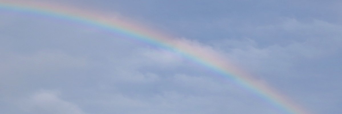 Lav_Pcrose's profile banner image