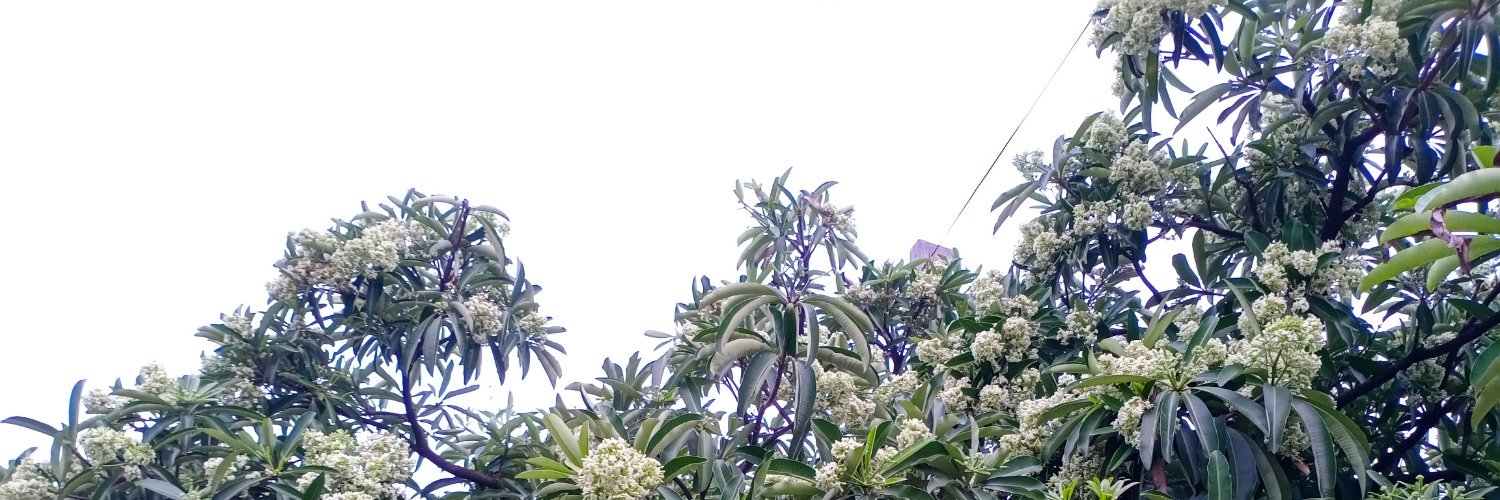 VdSumit's profile banner image